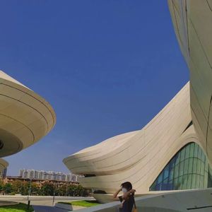 欧美操屁屁小说xx
